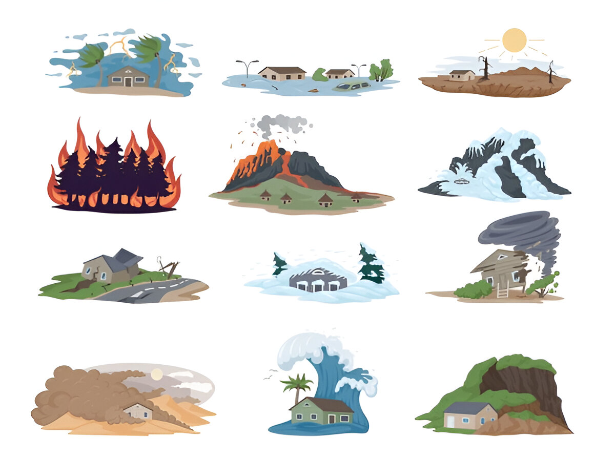 image7.png